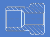 gland